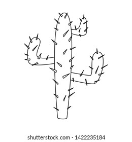 Isolated object of cactus  and plant  icon. Collection of cactus  and growth stock symbol for web.