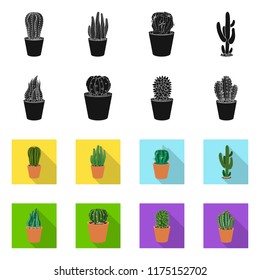 Isolated object of cactus and pot icon. Collection of cactus and cacti stock symbol for web.