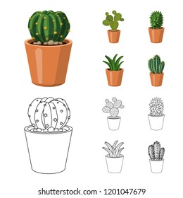 Isolated object of cactus and pot icon. Collection of cactus and cacti stock symbol for web.