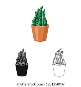 Isolated object of cactus and pot icon. Collection of cactus and cacti stock symbol for web.