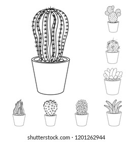 Isolated object of cactus and pot icon. Collection of cactus and cacti stock vector illustration.