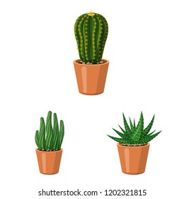 Isolated object of cactus and pot icon. Set of cactus and cacti stock vector illustration.