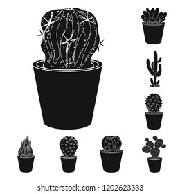 Isolated object of cactus and pot icon. Set of cactus and cacti stock symbol for web.
