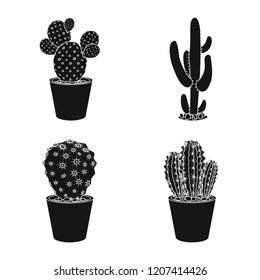 Isolated object of cactus and pot icon. Collection of cactus and cacti stock vector illustration.