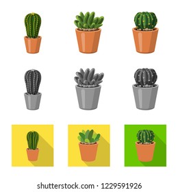 Isolated object of cactus and pot icon. Collection of cactus and cacti stock symbol for web.