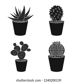 Isolated object of cactus and pot icon. Collection of cactus and cacti stock vector illustration.