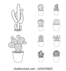 Isolated object of cactus and pot icon. Collection of cactus and cacti stock vector illustration.