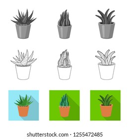 Isolated object of cactus and pot icon. Set of cactus and cacti vector icon for stock.