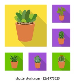 Isolated object of cactus and pot icon. Collection of cactus and cacti stock symbol for web.