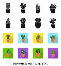 Isolated object of cactus and pot icon. Set of cactus and cacti stock vector illustration.