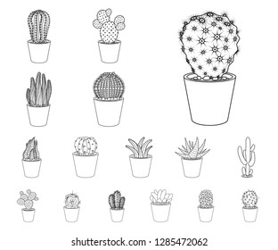 Isolated object of cactus and pot icon. Collection of cactus and cacti stock vector illustration.