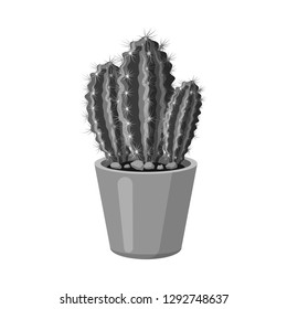 Isolated object of cactus and pot icon. Set of cactus and cacti vector icon for stock.