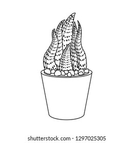 Isolated object of cactus and pot icon. Set of cactus and cacti stock vector illustration.