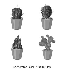 Isolated object of cactus and pot icon. Set of cactus and cacti vector icon for stock.