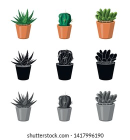 Isolated object of cactus and pot icon. Collection of cactus and cacti stock vector illustration.