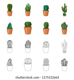Isolated object of cactus and pot logo. Set of cactus and cacti stock symbol for web.