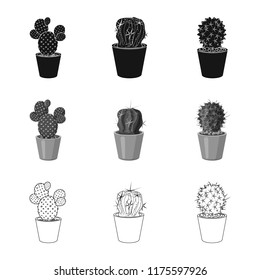 Isolated object of cactus and pot logo. Set of cactus and cacti stock symbol for web.