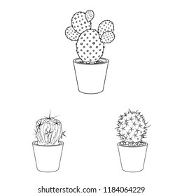 Isolated object of cactus and pot logo. Set of cactus and cacti stock symbol for web.