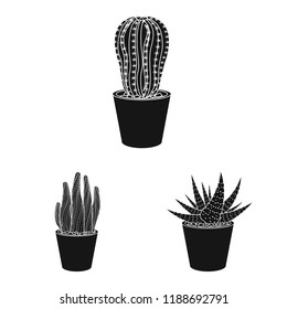 Isolated object of cactus and pot logo. Set of cactus and cacti stock symbol for web.