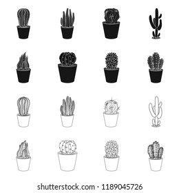 Isolated object of cactus and pot logo. Set of cactus and cacti stock vector illustration.