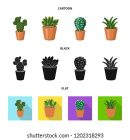 Isolated object of cactus and pot logo. Set of cactus and cacti stock symbol for web.