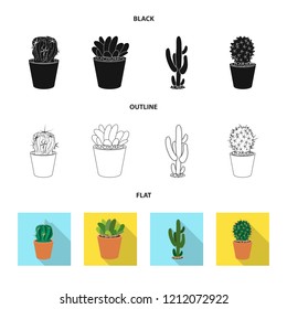 Isolated object of cactus and pot logo. Set of cactus and cacti stock symbol for web.