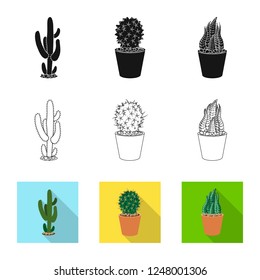 Isolated object of cactus and pot logo. Collection of cactus and cacti vector icon for stock.