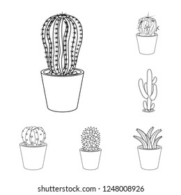 Isolated object of cactus and pot logo. Set of cactus and cacti stock symbol for web.