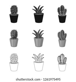 Isolated object of cactus and pot logo. Collection of cactus and cacti stock vector illustration.