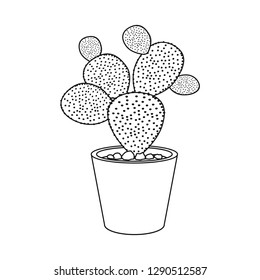 Isolated object of cactus and pot logo. Set of cactus and cacti vector icon for stock.