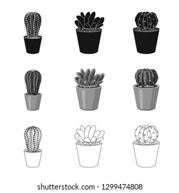 Isolated object of cactus and pot logo. Collection of cactus and cacti stock symbol for web.
