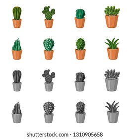 Isolated object of cactus and pot logo. Collection of cactus and cacti stock symbol for web.