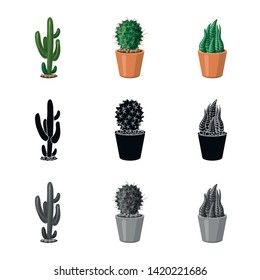 Isolated object of cactus and pot logo. Collection of cactus and cacti vector icon for stock.