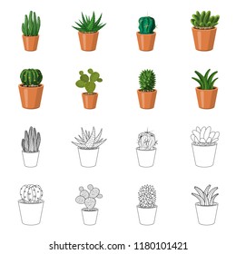 Isolated object of cactus and pot sign. Set of cactus and cacti stock symbol for web.