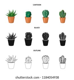 Isolated object of cactus and pot sign. Collection of cactus and cacti stock symbol for web.