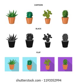 Isolated object of cactus and pot sign. Set of cactus and cacti stock symbol for web.