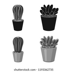 Isolated object of cactus and pot sign. Set of cactus and cacti vector icon for stock.