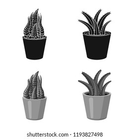 Isolated object of cactus and pot sign. Set of cactus and cacti vector icon for stock.