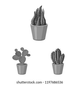 Isolated object of cactus and pot sign. Set of cactus and cacti stock vector illustration.