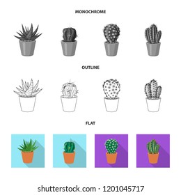 Isolated object of cactus and pot sign. Set of cactus and cacti vector icon for stock.