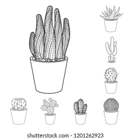 Isolated object of cactus and pot sign. Collection of cactus and cacti stock symbol for web.