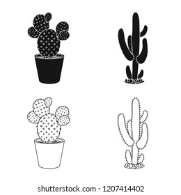 Isolated object of cactus and pot sign. Set of cactus and cacti stock symbol for web.