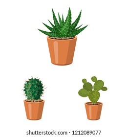 Isolated object of cactus and pot sign. Set of cactus and cacti stock symbol for web.