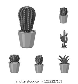 Isolated object of cactus and pot sign. Set of cactus and cacti stock symbol for web.