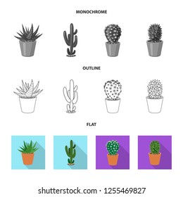 Isolated object of cactus and pot sign. Set of cactus and cacti vector icon for stock.