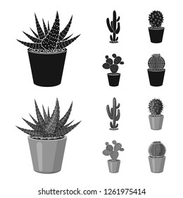 Isolated object of cactus and pot sign. Set of cactus and cacti vector icon for stock.