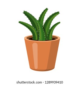 Isolated object of cactus and pot sign. Set of cactus and cacti stock symbol for web.