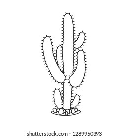 Isolated object of cactus and pot sign. Set of cactus and cacti stock vector illustration.