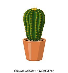 Isolated object of cactus and pot sign. Collection of cactus and cacti vector icon for stock.