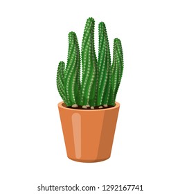 Isolated object of cactus and pot sign. Set of cactus and cacti stock vector illustration.